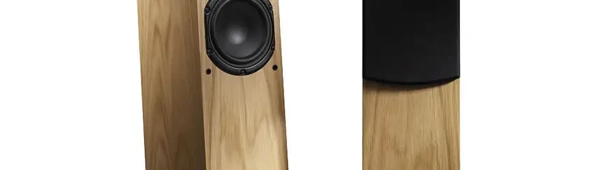 Neat Motive Speakers